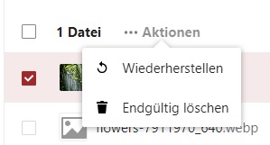 Bilder-wiederherstellen